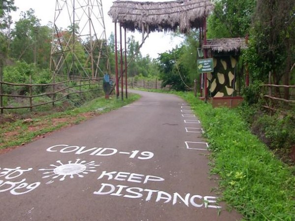 Visual from Tyavarekoppa Tiger and Lion Safari (Photo/ANI)