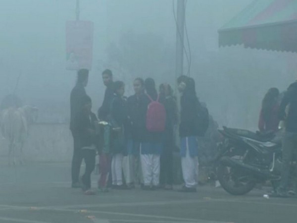 Children on their way to school in Hapur, Uttar Pradesh on Monday (Photo/ANI)