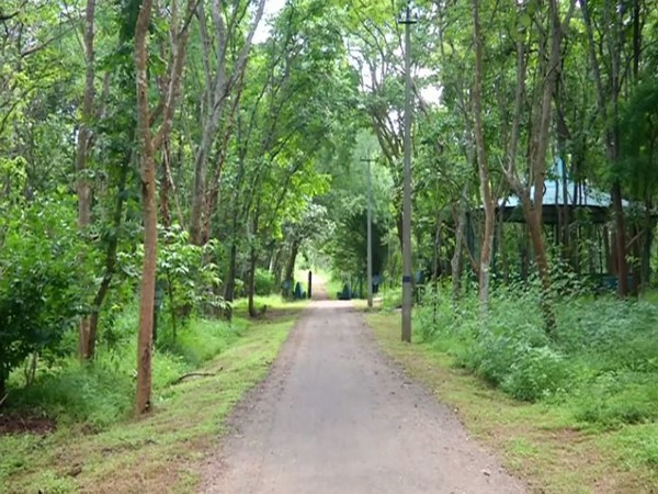 Tiger and Lion Safari, Shivamogga, Karnataka. (Photo/ANI)