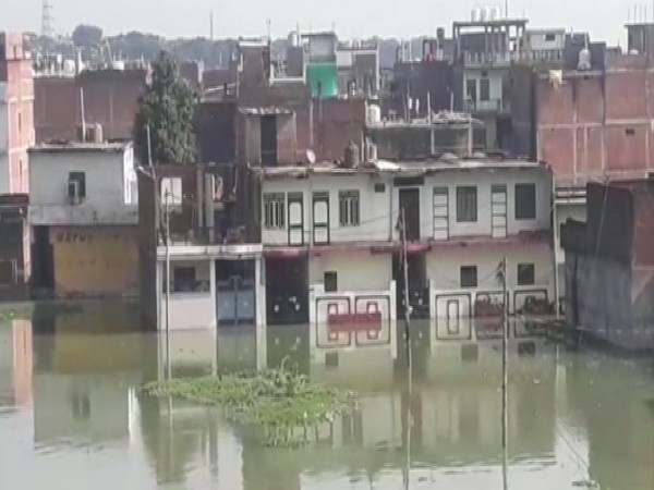 Submerged houses on the bank of River Ganga in Prayagraj. (Photo/ANI)
