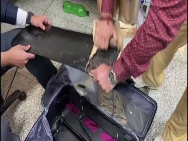 Airport customs recovering the heroin from the luggage of the two Ugandan nationals. (Photo/ANI)