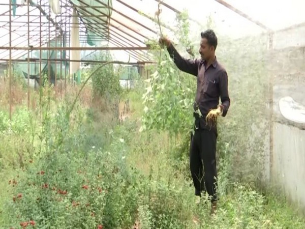 The floriculture sector in Uttarakhand has suffered a loss of Rs 250 crore. Photo/ANI