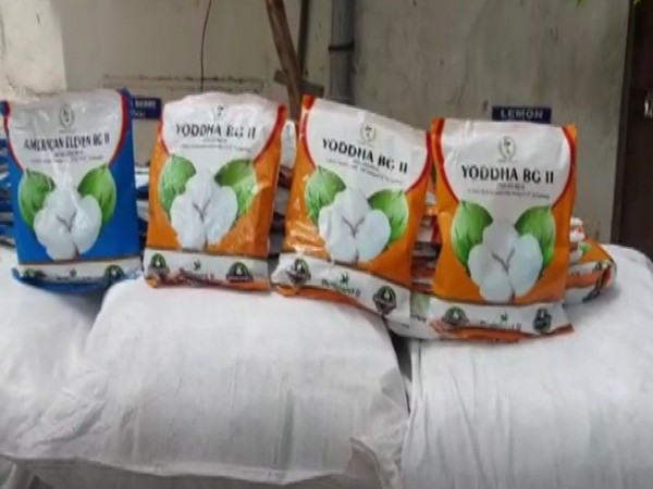 Hyderabad City Police has nabbed one person for illegal procurement and sale of un-authorized herbicide-tolerant cotton seeds on Saturday. (Photo/ANI)