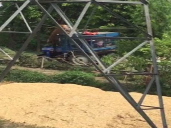 A tiger climbed the tractor in Pilibhit district, Uttar Pradesh (Photo/ANI) 