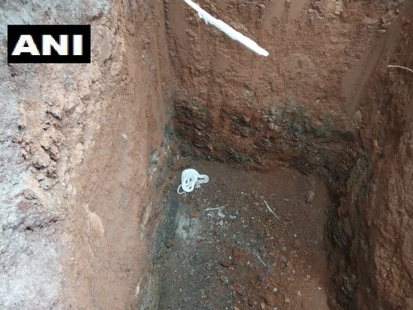 A six-feet-long white cobra was rescued from a pit in in Edayarpalayam area, Coimbatore. (Photo/ANI)