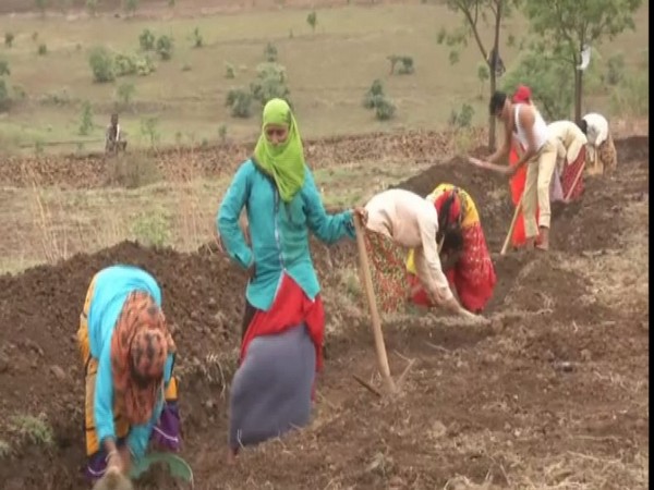 Returning migrant labourers engage in work under MGNREGA in Karnataka. Photo/ANI