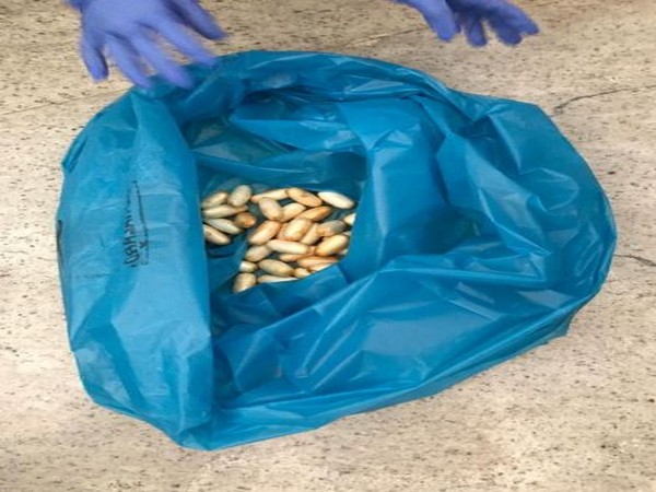 Cocaine capsules (Photo/ANI)