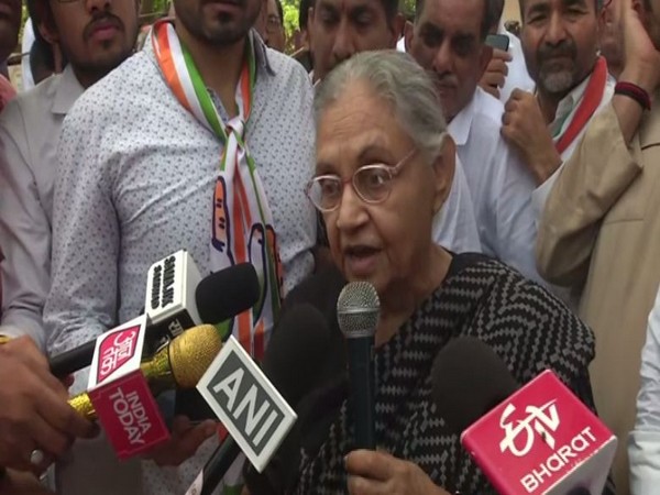 Sheila Dikshit along with other party members held protest in Delhi 