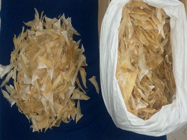 Seized processed shark fins (Photo/ANI)