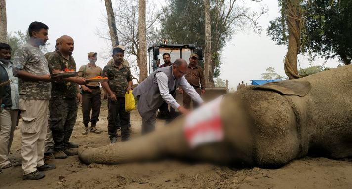 The elephant's carcass was buried with due honours (Photo/ANI)