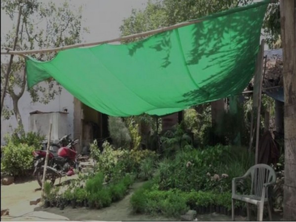 With summer season setting in , plants in nursery are dying. [Photo/ANI]