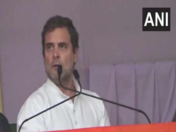 Congress leader Rahul Gandhi speaking at a public rally in Jharkhand's Godda. Photo/ANI)