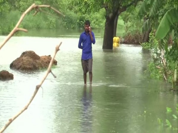 Farmers worried as rains damages crops in Gorakhpur. [Photo/ANI]