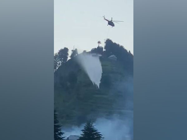 Visual from the site 