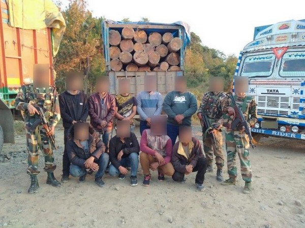 Assam Rifles seized trucks loaded with pinewood (Photo/Eastern Command IA/Twitter)