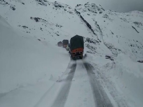 Vehicles are stranded due to snowfall in Kullu area of Himachal Pradesh. Photo/ANI