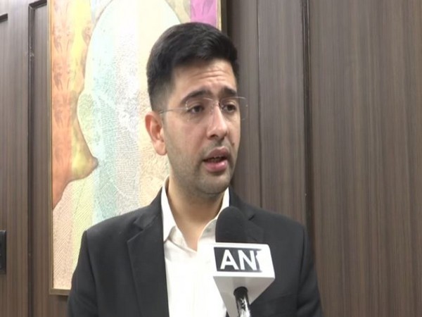 Aam Aadmi Party (AAP) Punjab co-in charge and Delhi MLA Raghav Chadha (Photo/ANI)