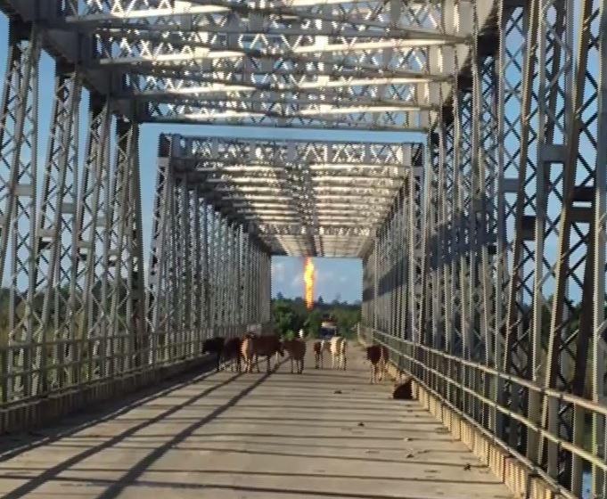 A visual from Tinsukia district. [Photo/ANI] 