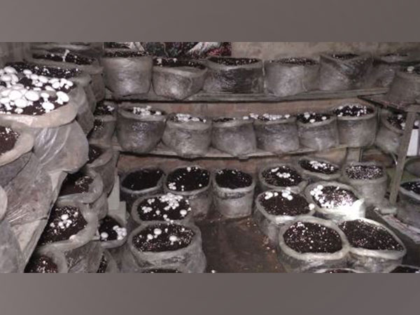 Visuals from the Spot (Photo/ANI)