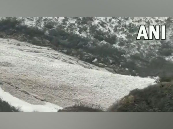 A visual from Hemkund Sahib Yatra route in Uttarakhand (ANI/Photo)