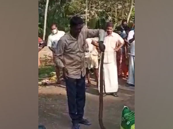 Famous snake-catcher Vava Suresh