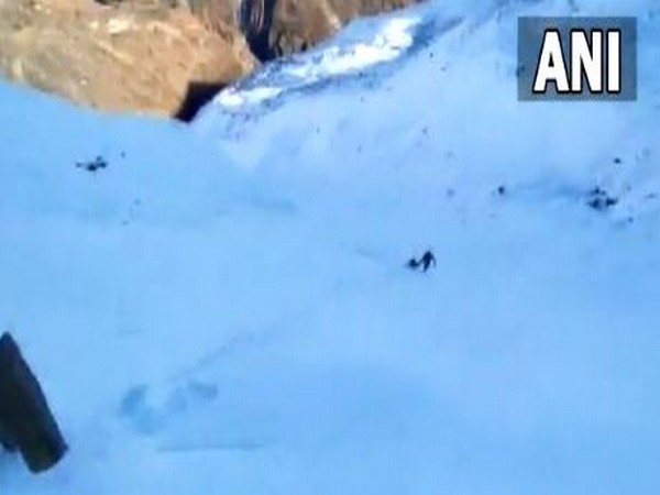 SDRF retrieves bodies of five missing trekkers in Uttarakhand
