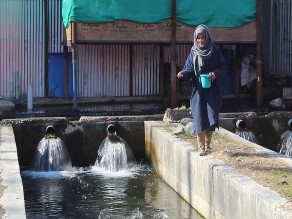 J-K govt helps unemployed girls in Anantnag to set up fish farms 