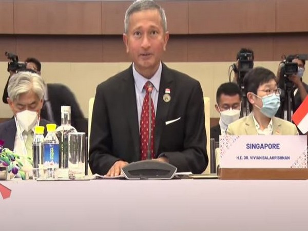 Singapore Foreign Minister Vivian Balakrishnan at Special ASEAN-India Foreign Ministers' Meeting
