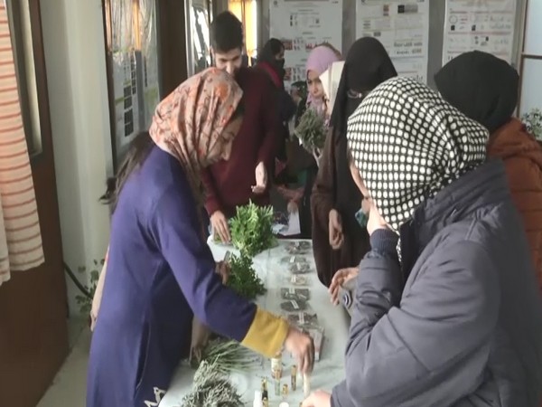 Govt starts awareness drive for growers on cultivation, processing of aromatic plants in Kashmir