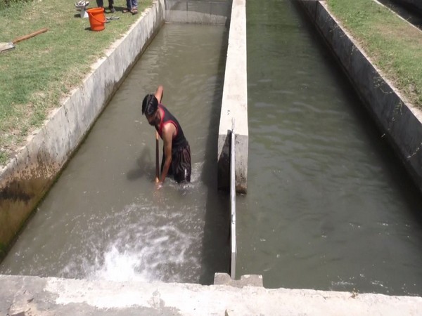Fish farms are transforming lives of unemployed youth in Handwara. (Photo/ANI)