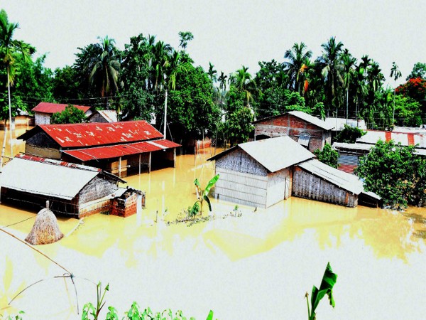 Houses seen submerged in floodwaters due to heavy rainfall, at Chaparmukh, in Assam's Nagaon on Thursday. (ANI/ Photo)