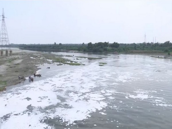 A thick foam of froth has polluted the River Yamuna. (Photos/ANI)