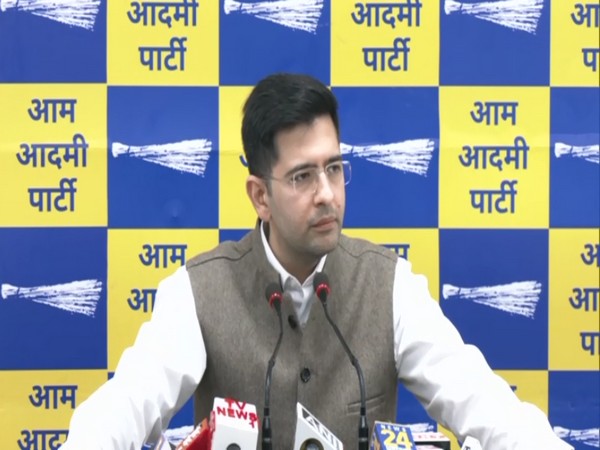 AAP MLA Raghav Chaddha. (Photo/ANI)