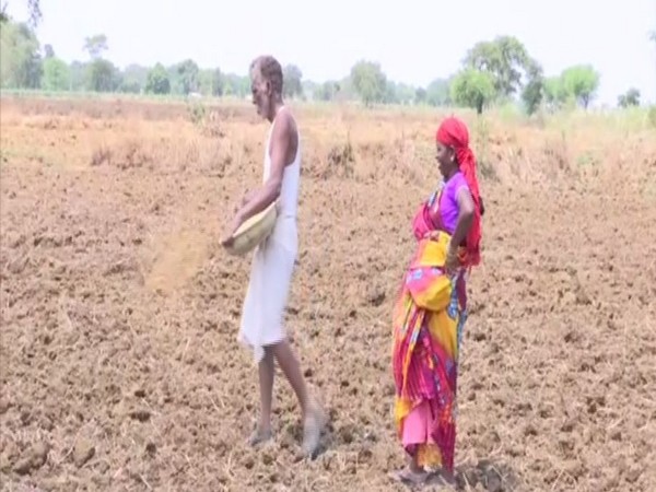A village in Raipur, where 50 per cent harvest is affected due to rain deficit. Photo/ANI