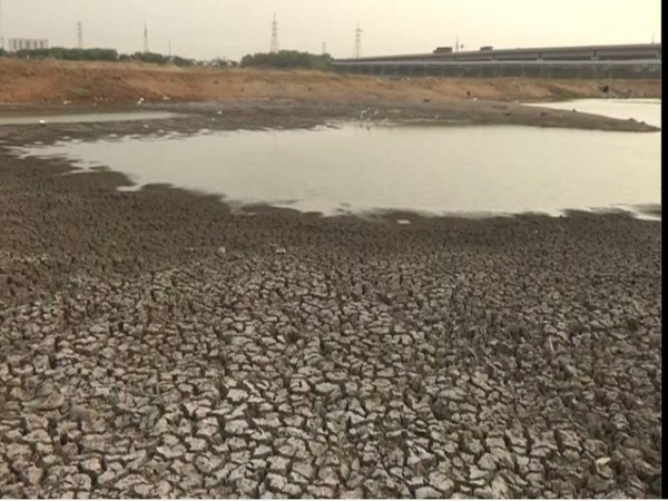 The dried-up bed of Porur lake in Chennai (Photo/ANI)