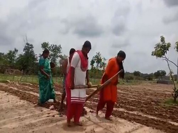 The video of girls pulling the plough like oxen became viral on social media. (Photo/Twitter)