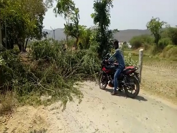 Visual from Anna Sami Palli village, Andhra Pradesh.