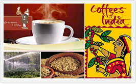 India not among top 20 coffee drinking countries, chai for us!