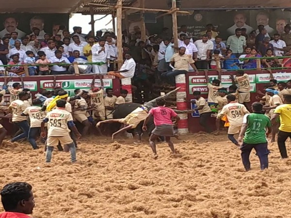 Owner of a bull died and 15 others were injured during Jallikattu event in Coimbatore.