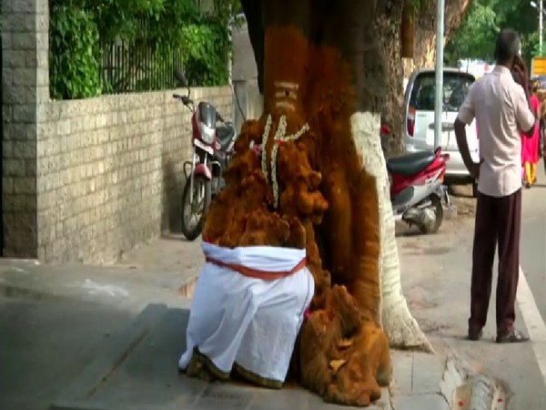 Tree Temple (ANI/Photo)