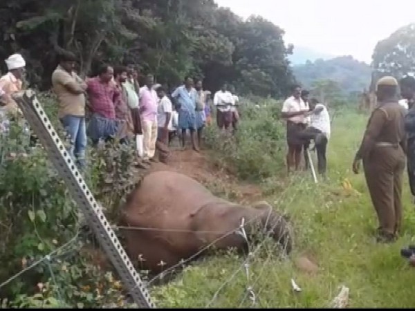 Forest departments on the spot at Coimbatore. Photo/ANI