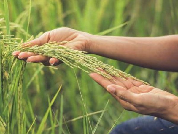 The company is second largest manufacturer and marketer of phosphatic fertiliser in India