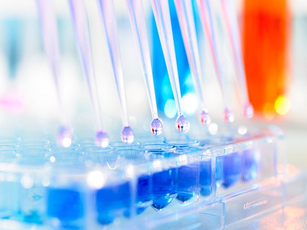 The funds will be made available through ADB's supply chain finance programme