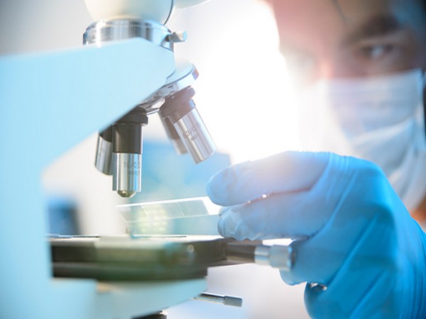 Further capacity reductions are expected as the number of infected people and affected countries grow