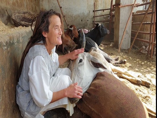 Friederike Irina Bruning playing with a cow in Mathura on Monday. Photo/ANI