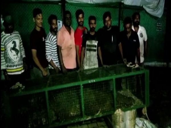 Forest Department along with the crocodile in Karelibaug area in Vadodara on Wednesday (Photo/ANI)