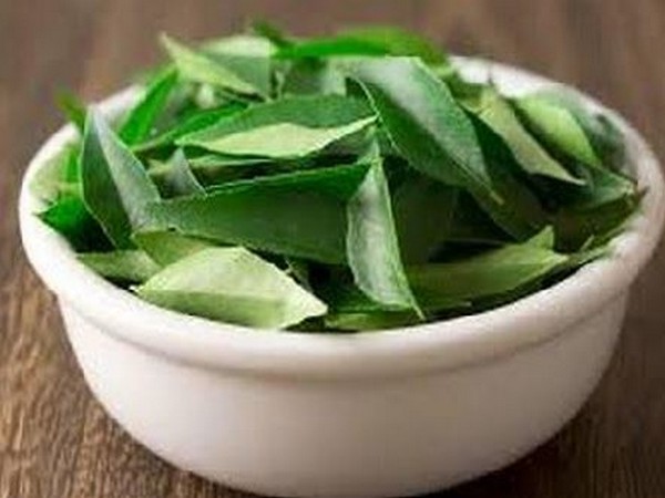 Curry leaves can be used in many different ways other than just cooking.