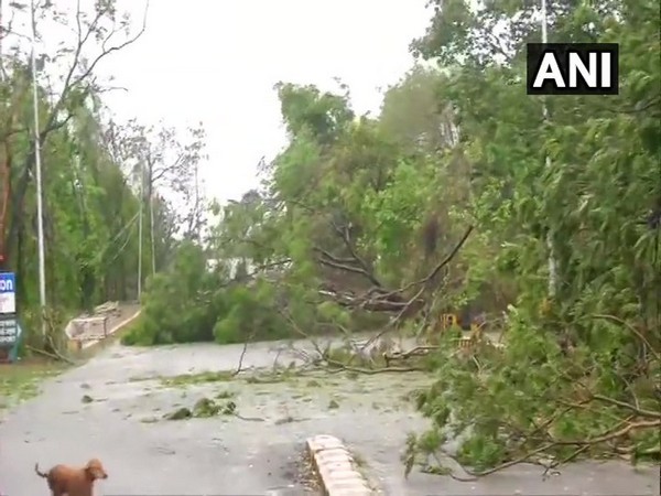 Destrcution caused by cyclone Fani in Odisha (File Image)