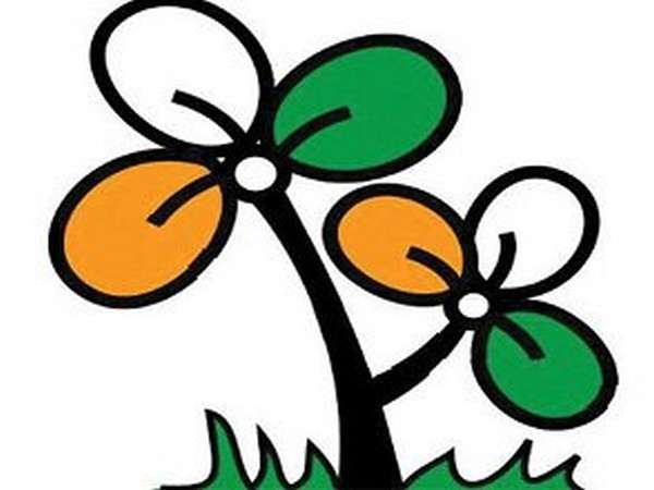 Trinamool Congress logo