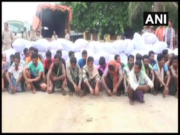 Police arrested 34 persons and seized 3,305 kg Ganja in Malkangiri